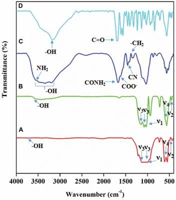 Natural Drug-Loaded Bimetal-Substituted Hydroxyapatite-Polymeric Composite for Osteosarcoma-Affected Bone Repair